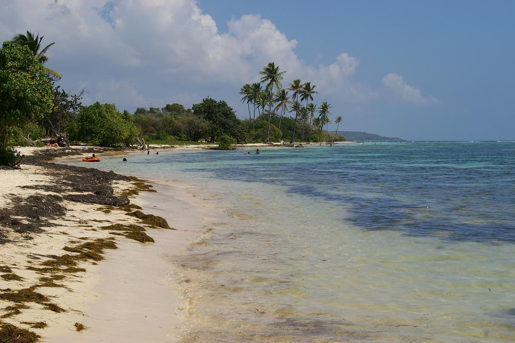 Kaz Creole Aventure Tropicale Insolite, Fibre, Jardin Et Jacuzzi Prives Saint-Francois  Ngoại thất bức ảnh