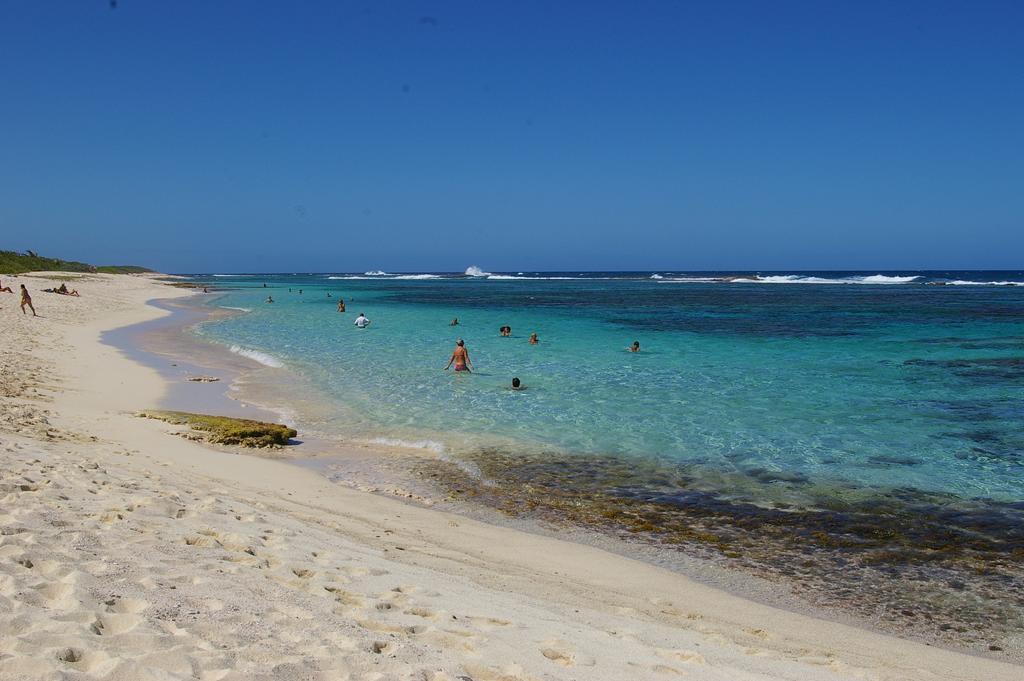 Kaz Creole Aventure Tropicale Insolite, Fibre, Jardin Et Jacuzzi Prives Saint-Francois  Ngoại thất bức ảnh