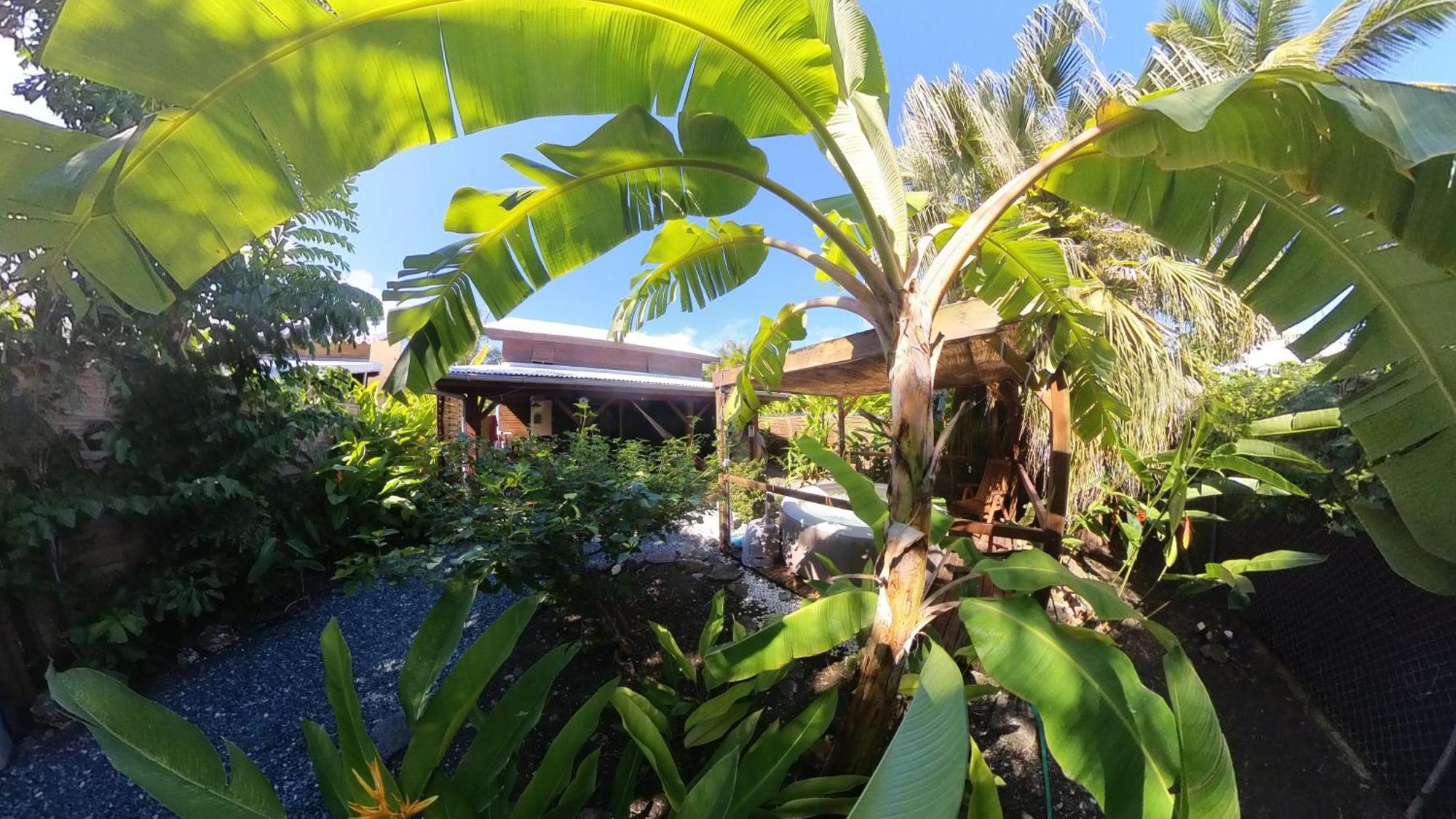 Kaz Creole Aventure Tropicale Insolite, Fibre, Jardin Et Jacuzzi Prives Saint-Francois  Ngoại thất bức ảnh