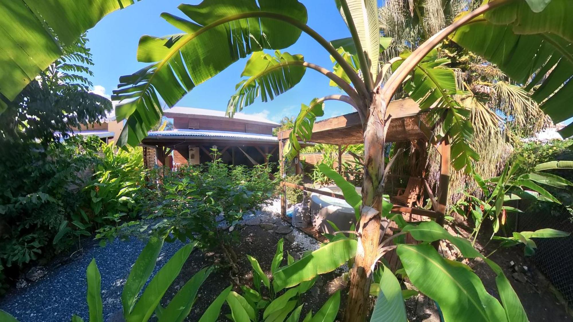 Kaz Creole Aventure Tropicale Insolite, Fibre, Jardin Et Jacuzzi Prives Saint-Francois  Ngoại thất bức ảnh